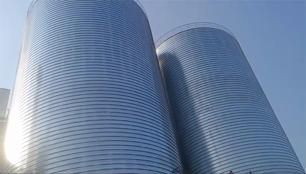 畅好乡2座混凝土高架卷板仓